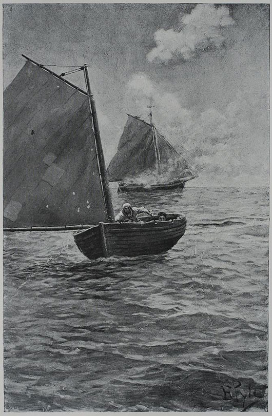 Wybr pirata