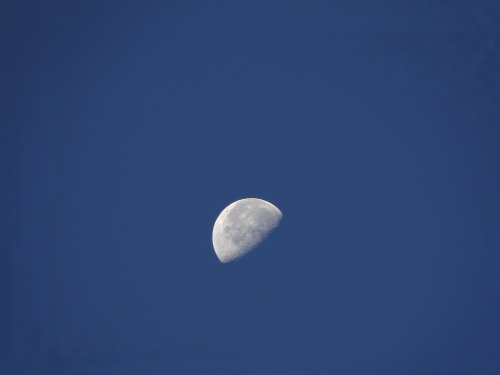 herr-mond-53022fe7-6146-484f-a75b-6495601fd4a5
